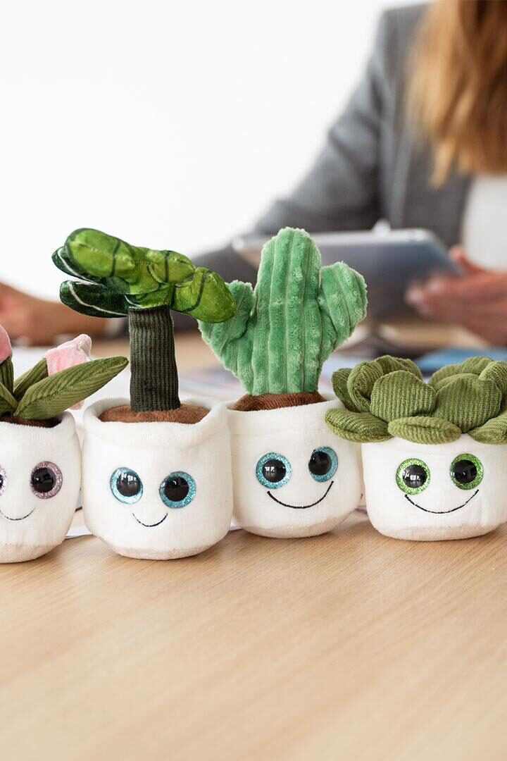 Evergreenies® Displayreiniger