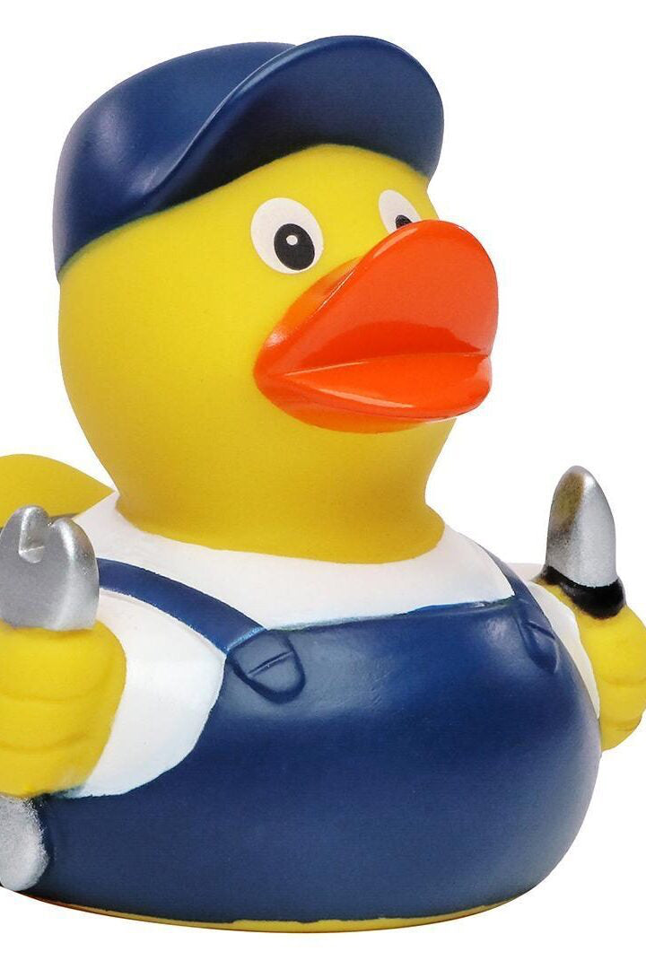 hi5 Brand Duck