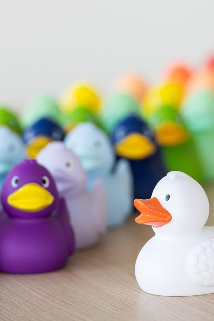 hi5 Brand Duck