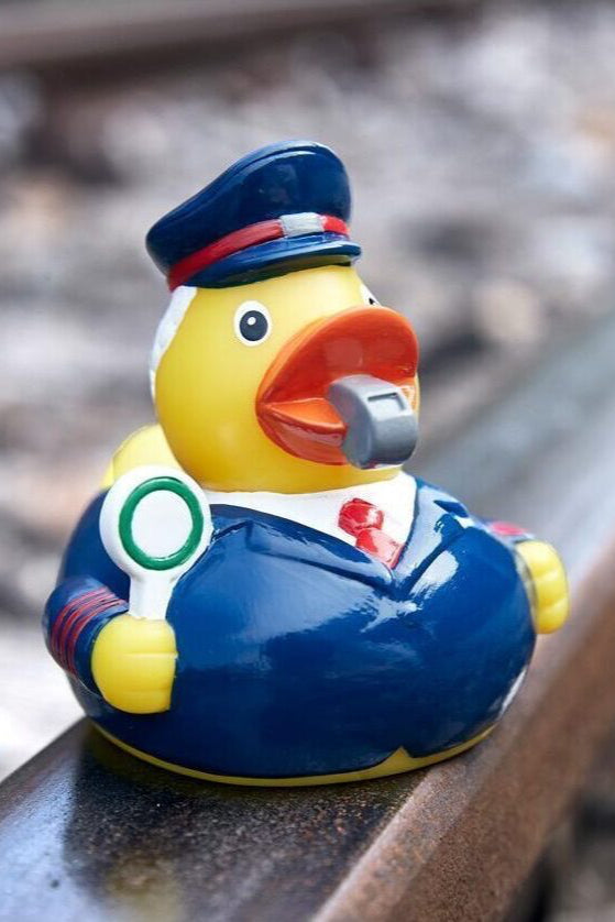 hi5 Brand Duck