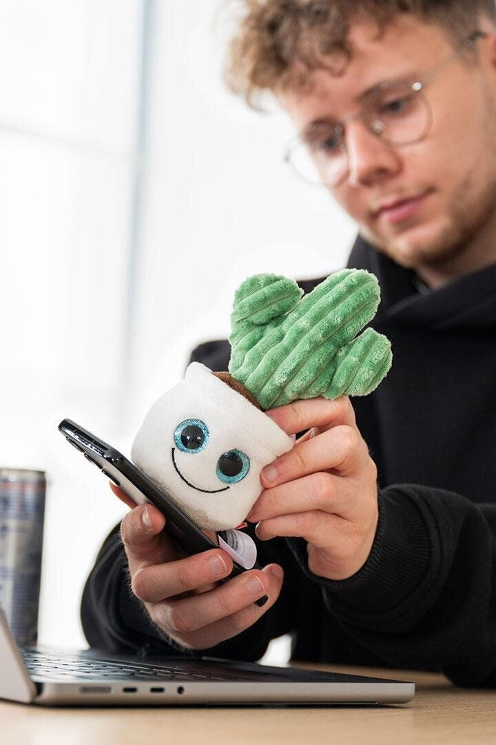 Evergreenies® Displayreiniger