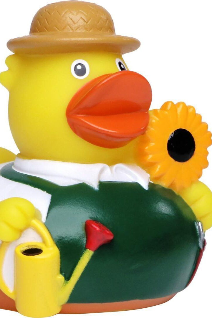 hi5 Brand Duck